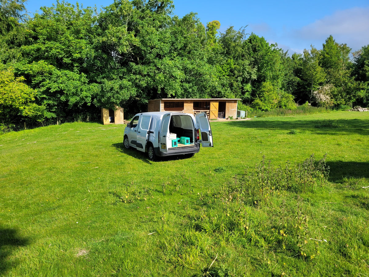 A white utility van with its rear doors open and beehives  is parked on a grassy lawn in front of a small wooden structure surrounded by dense green trees under a blue sky.