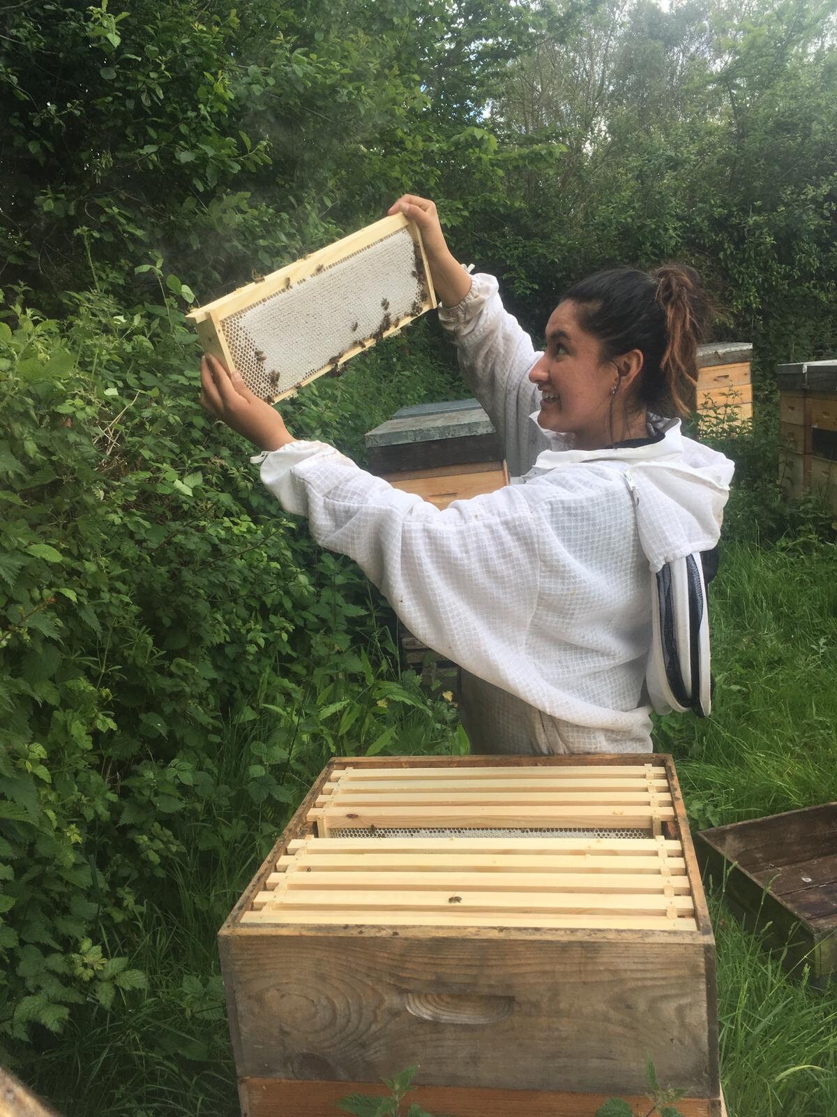 Beehives candles 100% beeswax.