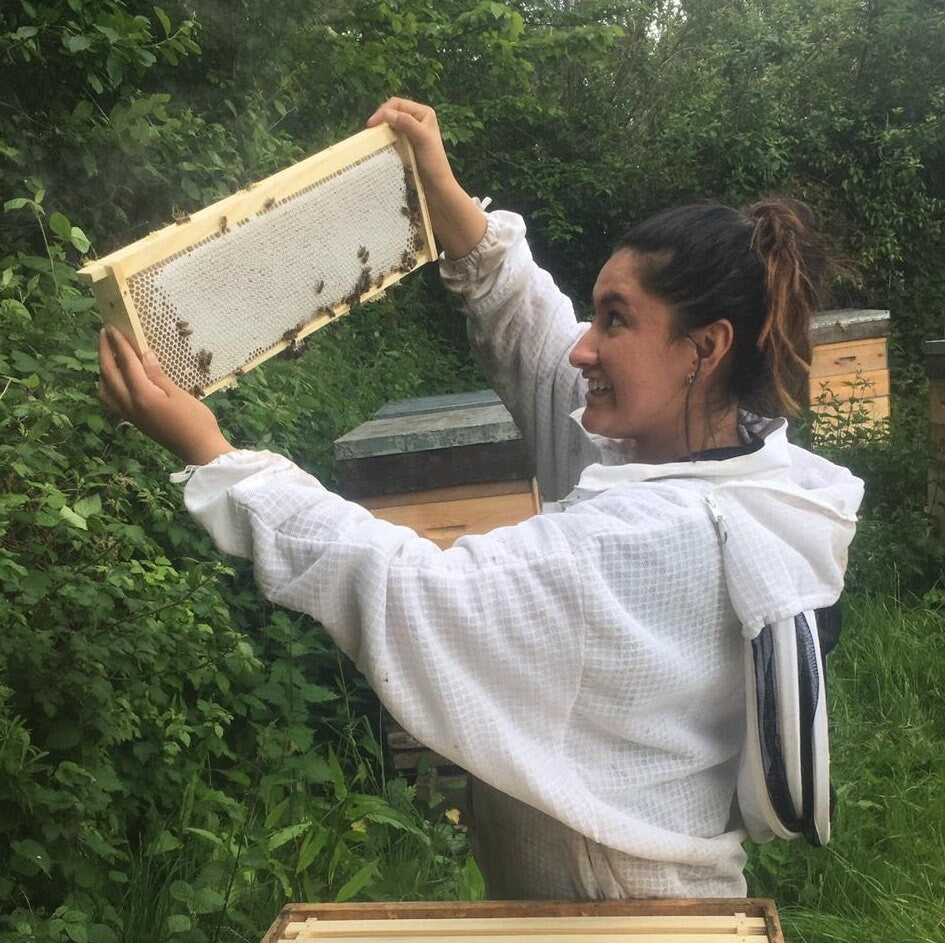 Pure Raw Dorset Honey | Isle of Purbeck (350g)